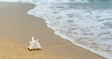 Pierwsze samodzielne wakacje Pierwsze samodzielne wakacje